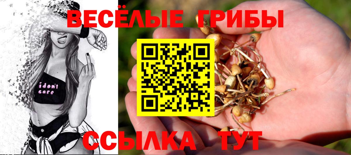наркотики  Галлюциногенные грибы мицелий  Псилоцибиновые грибы Magic Shrooms  Вход с VPN  Курск 