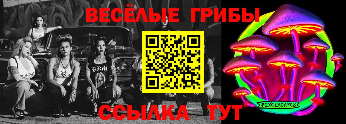 Псилоцибиновые грибы прущие грибы Курск